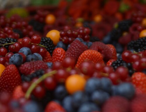 The Benefits of Frozen Fruits in a Balanced Diet